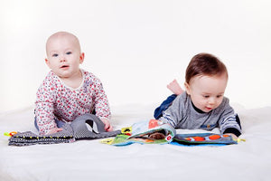 What Do We Know About How Babies Learn